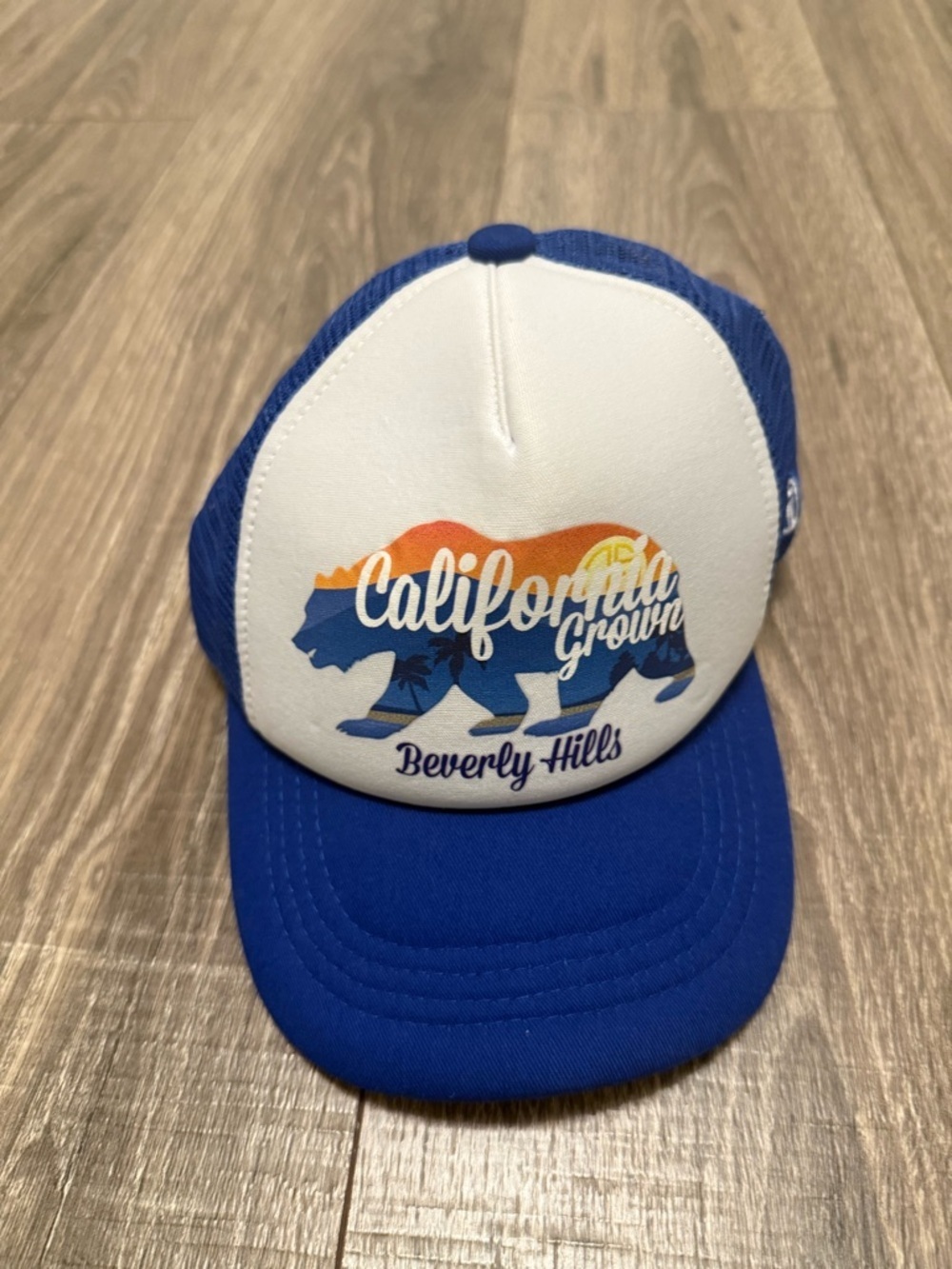 Grom Squad Kids Boys California Beverly Hills Trucker Hat 18m - 5 Years